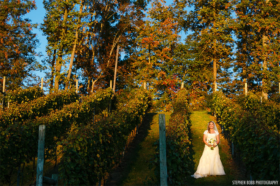 Potomac Point Winery Wedding 073