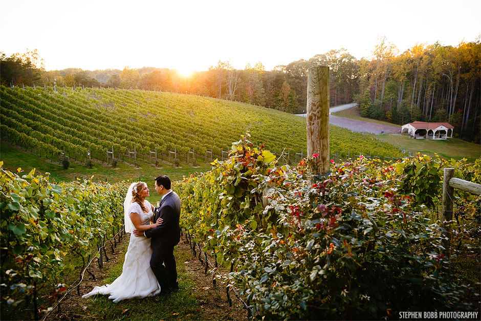 Potomac Point Winery Wedding