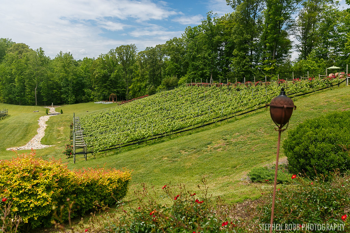 Potomac Point Winery Wedding photos - view from veranda