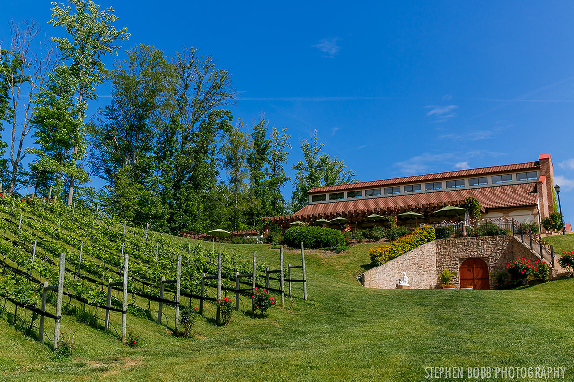 Potomac Point Winery Wedding photos - vineyard
