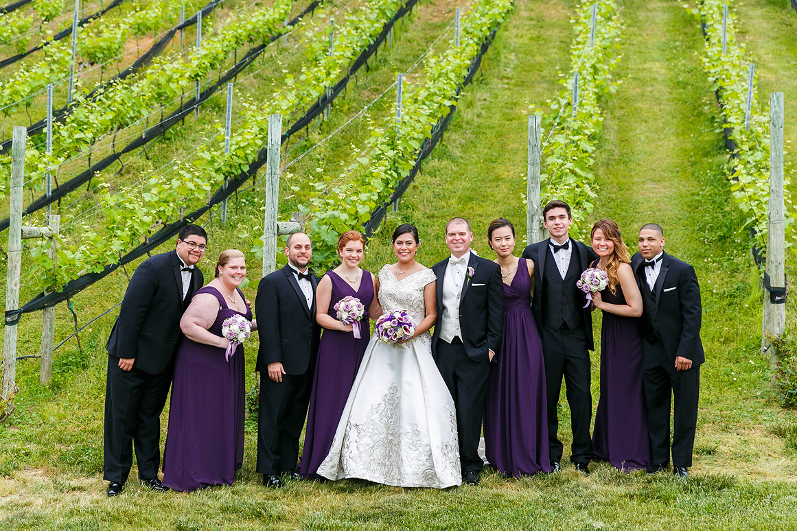 Potomac Point Winery Wedding photos - wedding party in the vineyard