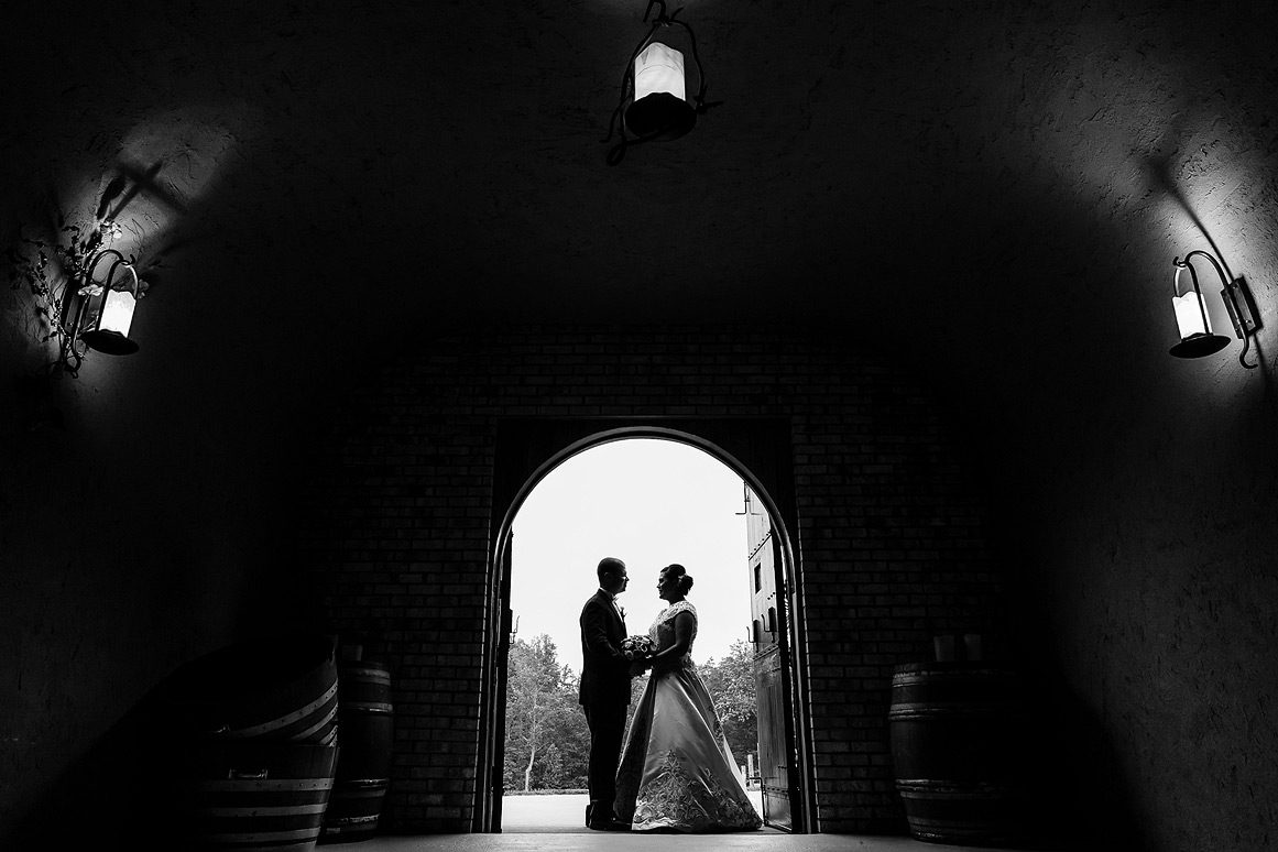 Potomac Point Winery Wedding photos - silhouette portrait