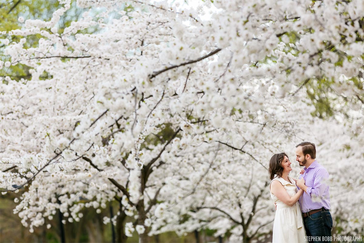 Cherry Blossom Engagement Photographer