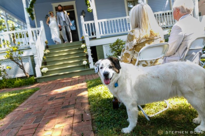 Dog watches small at-home wedding