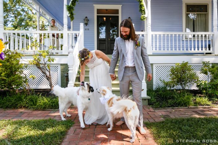 Couple greeted by dogs after wedding ceremony